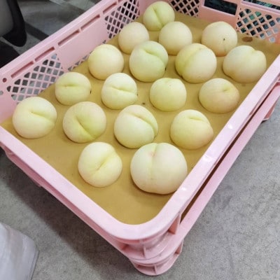 清水白桃　ご家庭用　1.5kg箱(6玉前後)