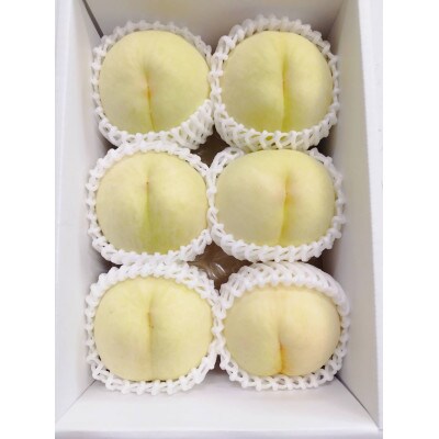 岡山白桃　ご家庭用　1.5kg箱(6玉前後)