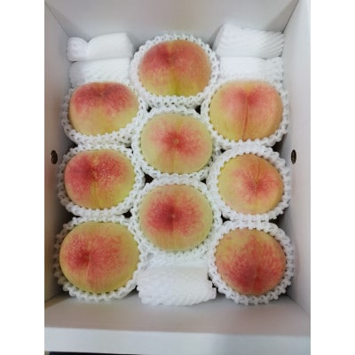 岡山白桃　ご家庭用　1.5kg箱(6玉前後)