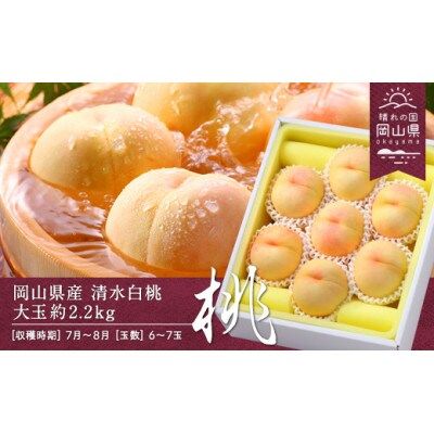 【2025年発送】岡山県産　清水白桃　約2.2kg(大玉6～7玉)