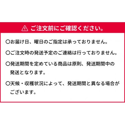 【2025年発送】岡山県産　白桃(晩生種)約2.2kg(大玉6～7玉)