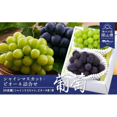 【2025年発送】シャインマスカット1房・ニューピオーネ1房 合計約1.0kg