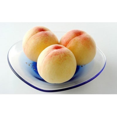 岡山県産 白桃 (早生種)約900g(3～4玉)