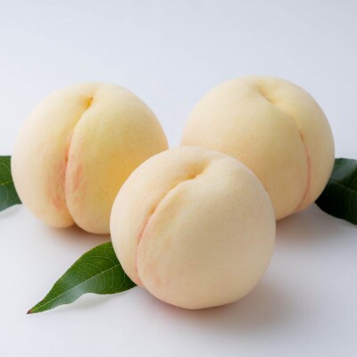 【2026年発送】岡山県産 白桃 (早生種)約900g(3～4玉)