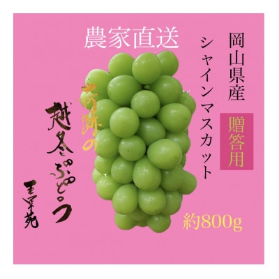 奇跡の越冬ぶどう シャインマスカット 1房 (800g) 五果苑【贈答用】