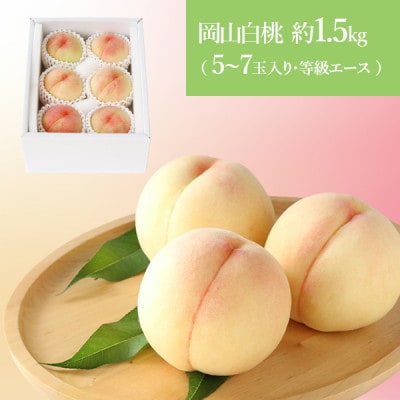 【先行受付】2025年6月以降発送開始 岡山の白桃 等級エース 5～7玉(約1.5kg)