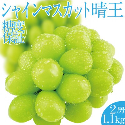 【2025年先行予約受付中】9月以降発送　シャインマスカット 晴王 2房 約1.1kg