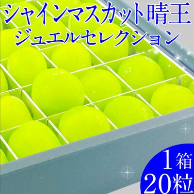 2026年 9月～10月発送 先行予約 シャインマスカット晴王 ジュエルセレクション20粒 岡山県産