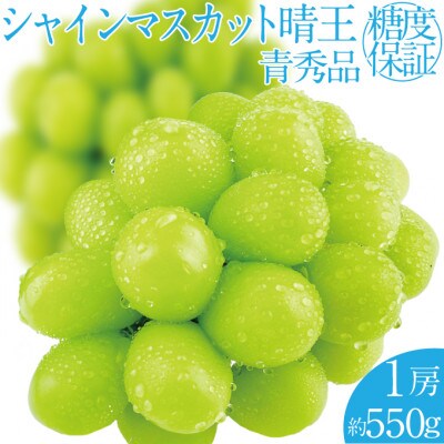 2026年 9月～10月発送 先行予約 シャインマスカット 晴王 1房 約550g 岡山県産