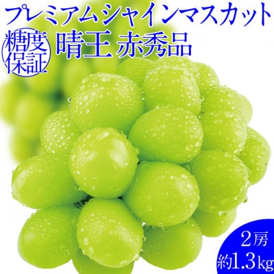 2026年発送 プレミアム シャインマスカット 晴王 2房 約1.3kg 赤秀品 岡山県産 贈答用
