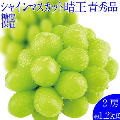 2026年 9月～10月発送 先行予約 シャインマスカット 晴王 2房 約1.2kg 岡山県産