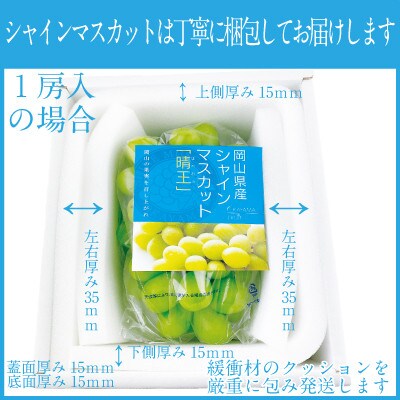2026年 9月～10月発送 先行予約 シャインマスカット 晴王 1房 約750g 岡山県産