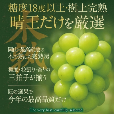 先行予約 木熟ぶどう ハレノシャイン シャインマスカット晴王 1房 約700g 9月～11月発送