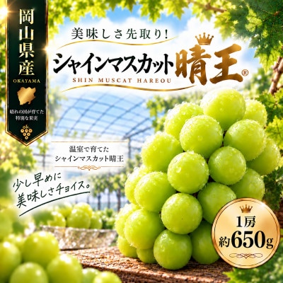 先行予約　2027年7月～8月にお届け　シャインマスカット　晴王　1房　約650g　岡山県産