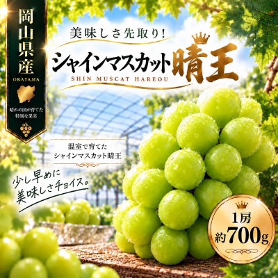 先行予約　2027年7月～8月発送　シャインマスカット　晴王　1房　約700g　岡山県産