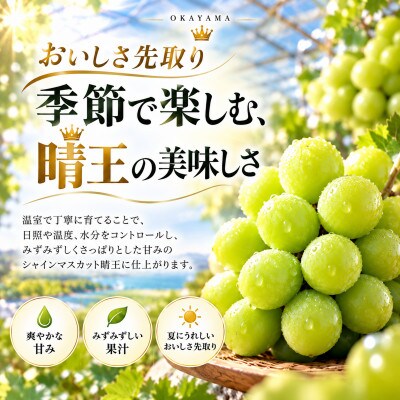先行予約　2027年7月～8月発送　シャインマスカット　晴王　1房　約700g　岡山県産