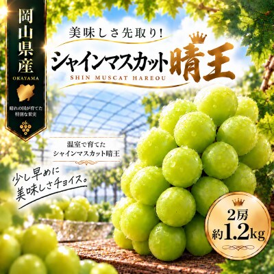 先行予約　2027年7月～8月発送　シャインマスカット　晴王　2房　約1.2kg　岡山県産