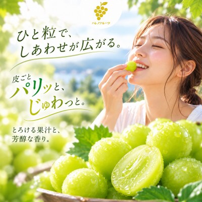 先行予約　2027年7月～8月発送　シャインマスカット　晴王　2房　約1.2kg　岡山県産