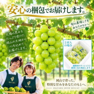 先行予約　2027年7月～8月発送　シャインマスカット　晴王　2房約1.4kg　岡山県産