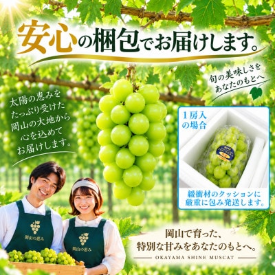 先行予約　シャインマスカット 晴王 1房 約550g 2027年9月～10月発送 露地栽培　岡山県産