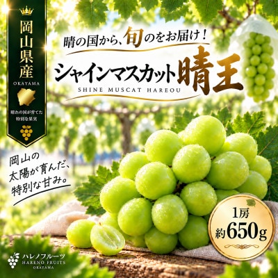 先行予約　シャインマスカット 晴王 1房 約650g 2027年9月～10月発送 露地栽培　岡山県産