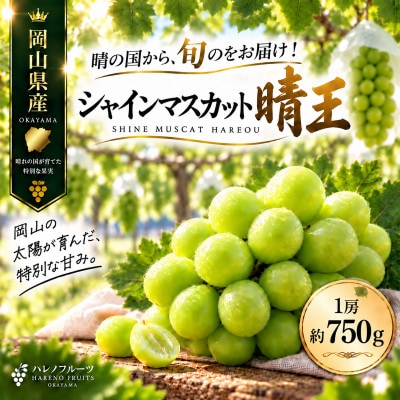 先行予約　シャインマスカット 晴王 1房 約750g 2027年9月～10月発送 露地栽培　岡山県産