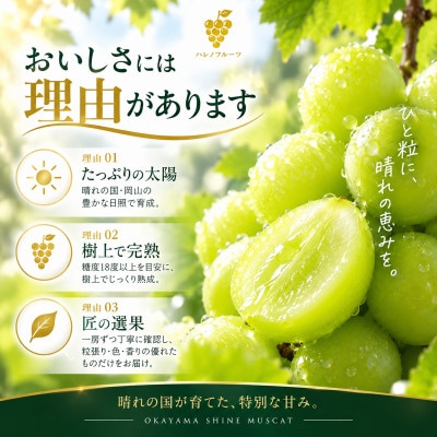 先行予約　シャインマスカット 晴王 1房 約750g 2027年9月～10月発送 露地栽培　岡山県産