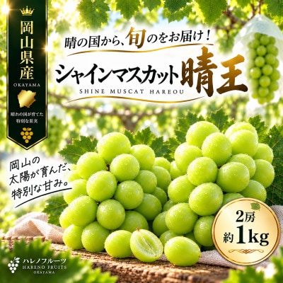 先行予約　シャインマスカット 晴王 2房 約1kg 2027年9月～10月発送 露地栽培　岡山県産