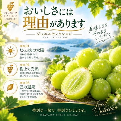 岡山が誇る「シャインマスカット晴王」を、選び抜いた20粒のジュエルセレクションに。