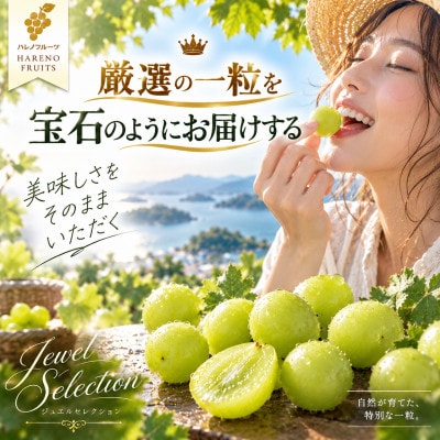 岡山が誇る「シャインマスカット晴王」を、選び抜いた20粒のジュエルセレクションを2箱セットで計40粒
