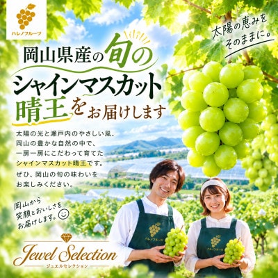岡山が誇る「シャインマスカット晴王」を、選び抜いた20粒のジュエルセレクションを2箱セットで計40粒