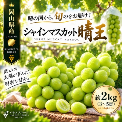 先行予約シャインマスカット 晴王 約2kg(3～5房)岡山県  2027年9月～10月発送 露地栽培