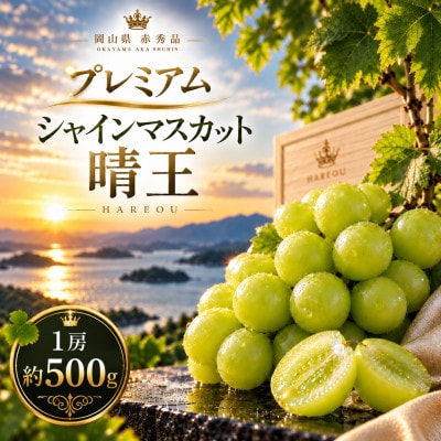 先行予約　赤秀品 2027年9月～10月発送 シャインマスカット 晴王 1房 約500g 岡山県