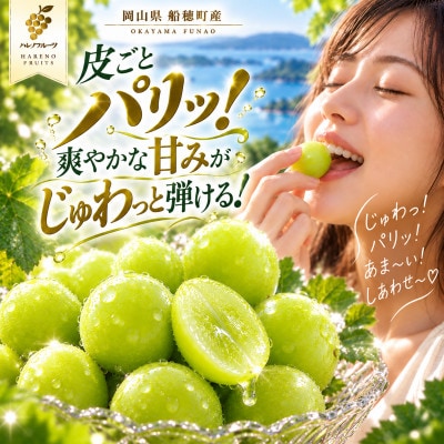 先行予約　赤秀品 2027年9月～10月発送 シャインマスカット 晴王 1房 約500g 岡山県
