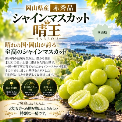 先行予約　赤秀品 2027年9月～10月発送 シャインマスカット 晴王 1房 約500g 岡山県