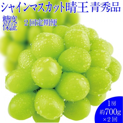 【発送月固定定期便】先行予約 9月10月 2回定期便 シャインマスカット晴王 1房 約700g全2回