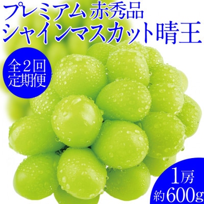 【発送月固定定期便】先行予約  2回定期便 プレミアムシャインマスカット晴王 1房 約600g全2回