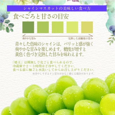 【発送月固定定期便】先行予約  2回定期便 プレミアムシャインマスカット晴王 1房 約700g全2回