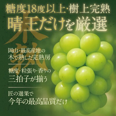 【発送月固定定期便】先行予約 9月10月 木熟ぶどう シャインマスカット晴王 2房約1.2kg全2回