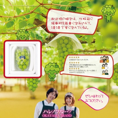 【発送月固定定期便】9月10月 木熟ぶどう プレミアムシャインマスカット晴王 1房 約800g全2回