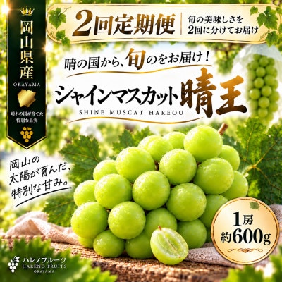 【発送月固定定期便】9月10月 2回発送 シャインマスカット晴王 1房 約600g全2回