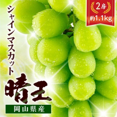 シャインマスカット晴王 2房　約1.1kg　種無しで皮ごと食べられる