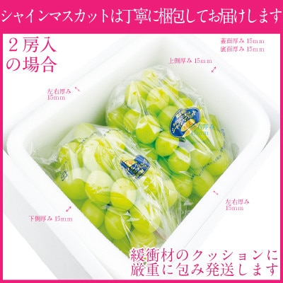 シャインマスカット晴王 2房　約1.3kg　種無しで皮ごと食べられる
