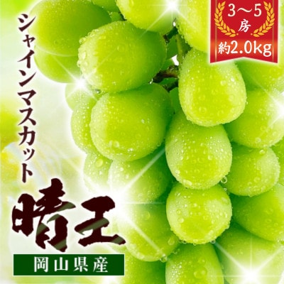 シャインマスカット晴王　3～5房　約2kg　種無しで皮ごと食べられる