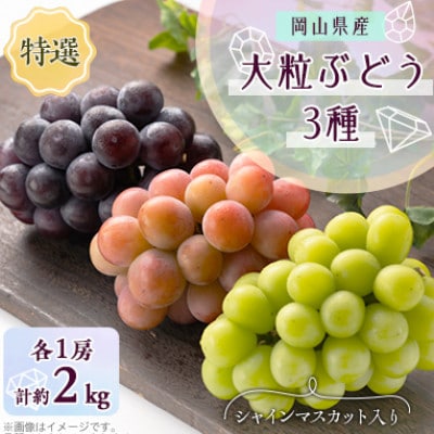 【2025年10月より発送】大粒ぶどう3種セット2kg シャインマスカット ピオーネ クイーンニーナ