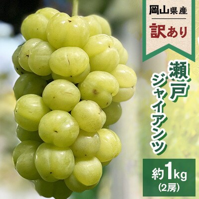 【訳あり】2026年発送 岡山県産 瀬戸ジャイアンツ 2房 合計約1kg 常温配送