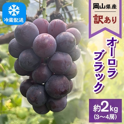 【訳あり】2026年発送 岡山県産 オーロラブラック 3～4房 合計約2kg 冷蔵配送