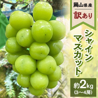 【訳あり】2026年発送 岡山県産 シャインマスカット3～4房 合計約2kg 常温配送