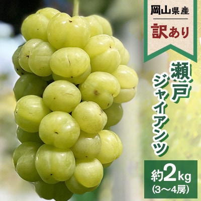 【訳あり】2026年発送 岡山県産 瀬戸ジャイアンツ 3～4房 合計約2kg 常温配送