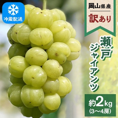 【訳あり】2026年発送 岡山県産 瀬戸ジャイアンツ 3～4房 合計約2kg 冷蔵配送
